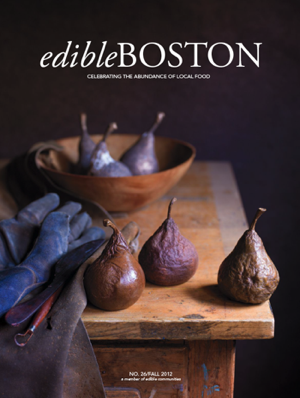 Editable Boston cover